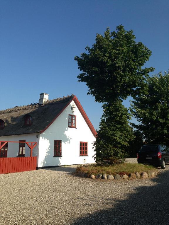 Bulbrovejs Bed & Breakfast Havdrup Kültér fotó